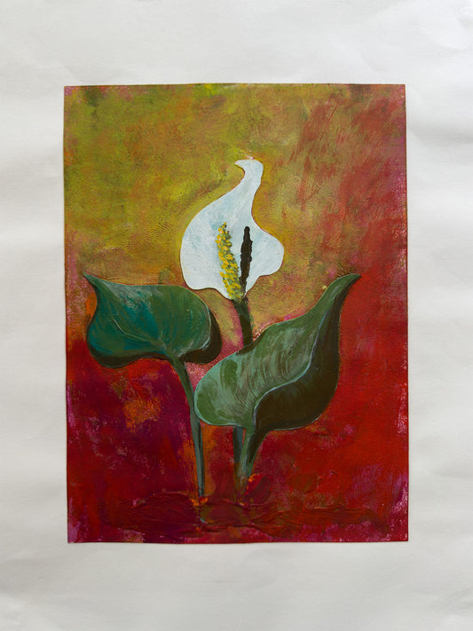 Collage Myrkongle / Calla palústris nr. 0599