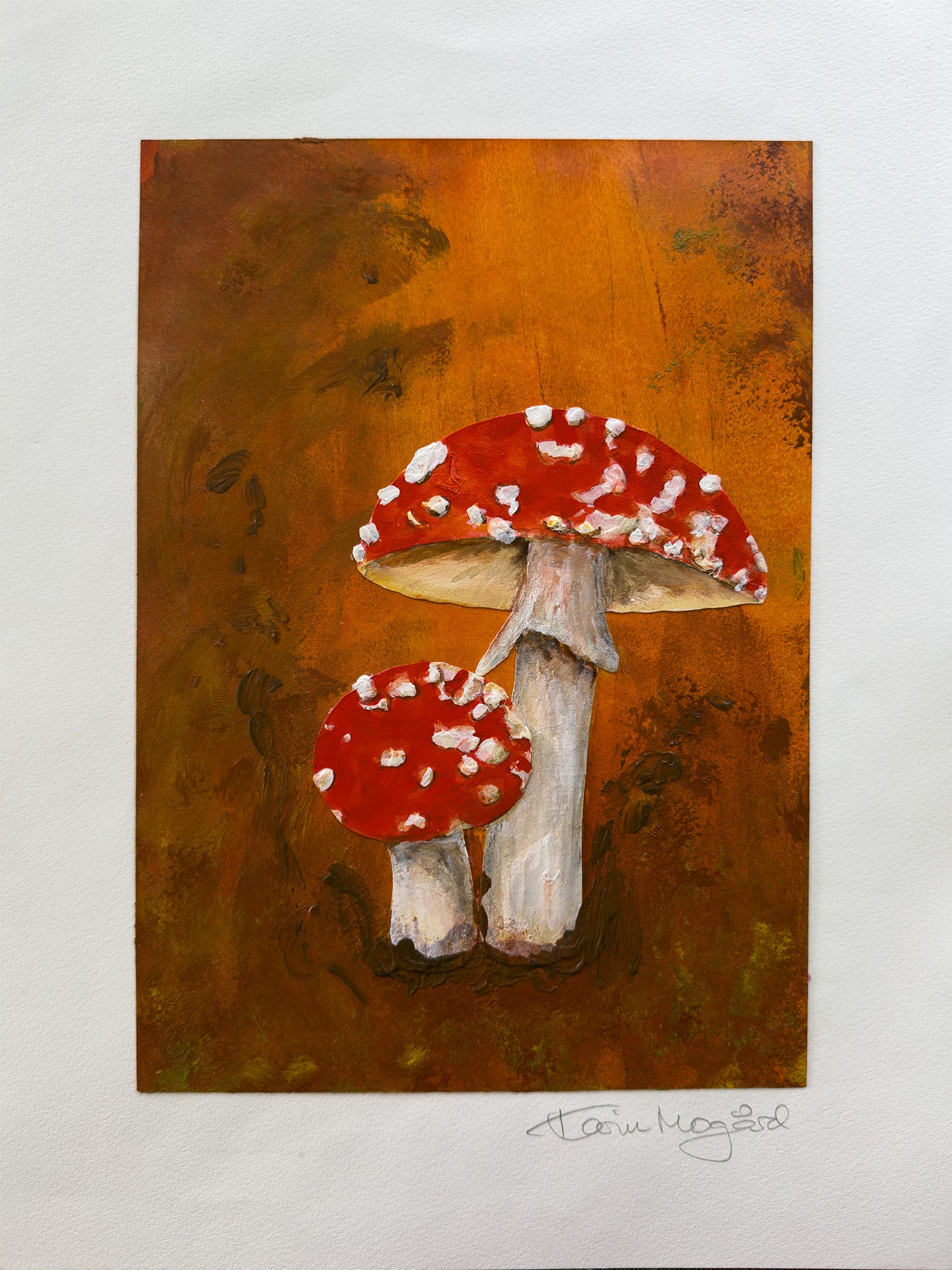Collage Fluesopp / Red Mushroom nr. 0624